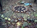 fire pit and raised stone area