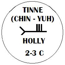 Tinne - Holly Ogham