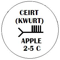 Ceirt - Apple Ogham