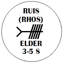 Ruis - Elder Ogham