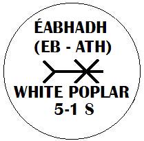 Eabhadh - White Poplar Ogham